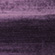 001657-Muenster-Lavendel